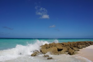 DSC03445-300×199